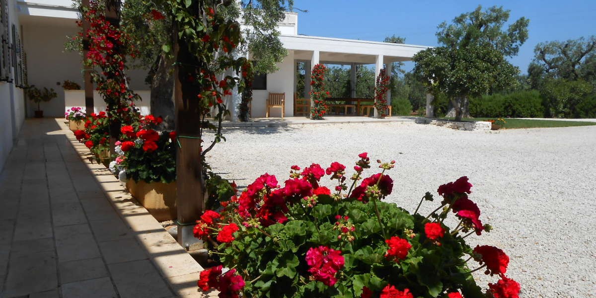 Fiori_2
