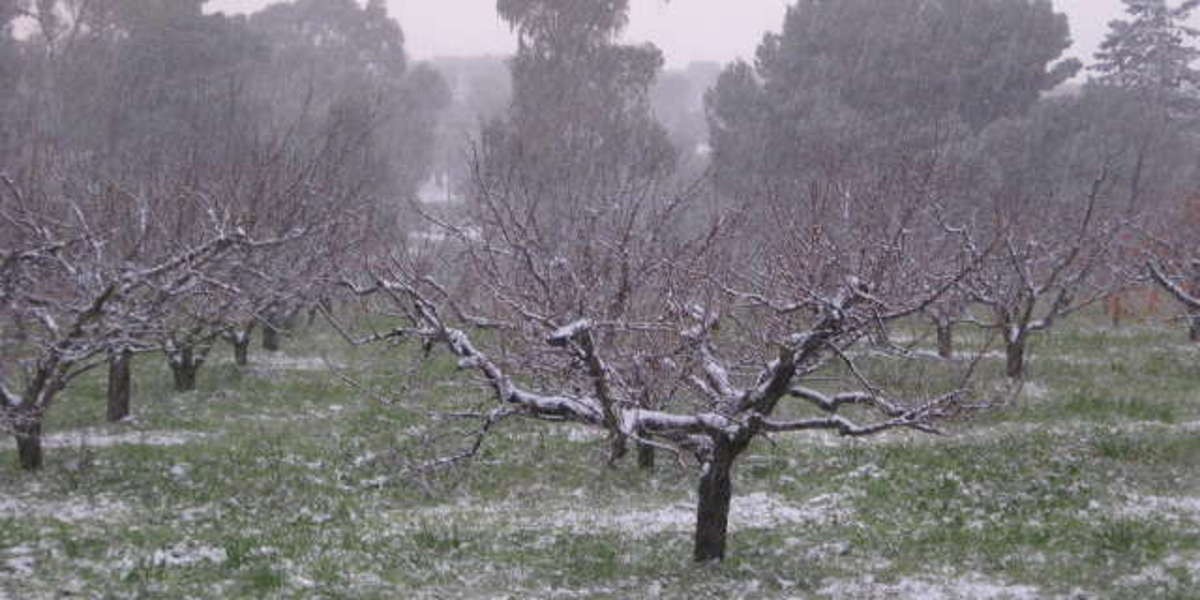 Neve_2