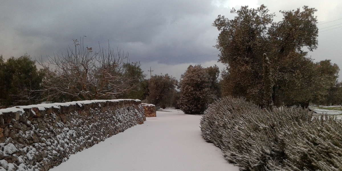 Neve_5