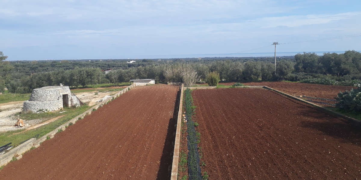 Primavera2020_1