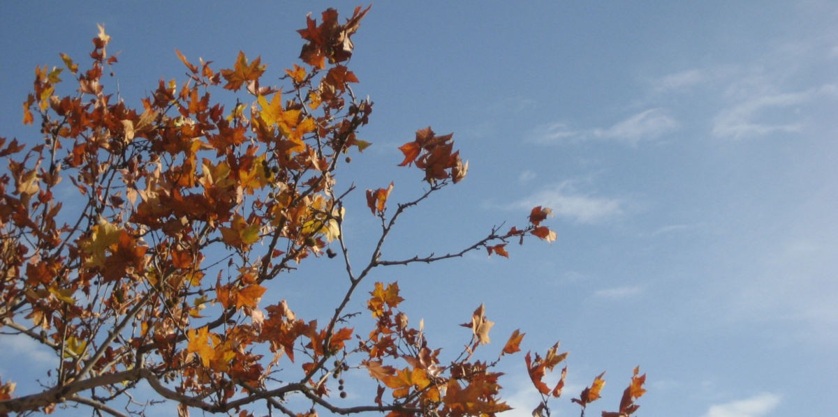 00cielo_autunno_1200