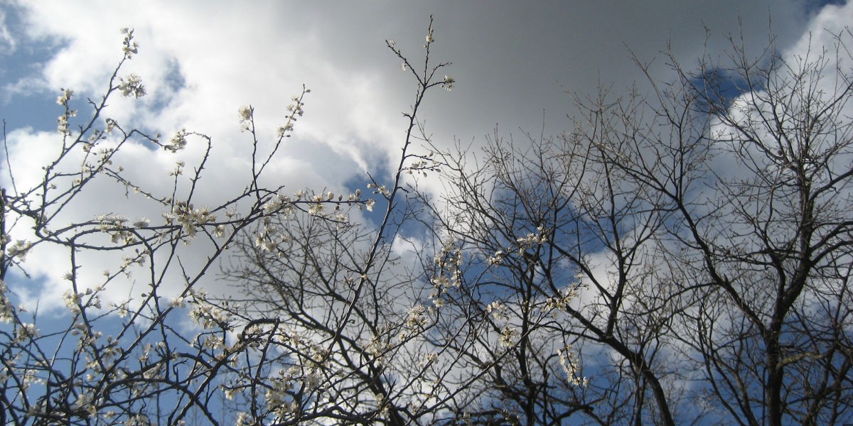 02rami_e_cielo_1200