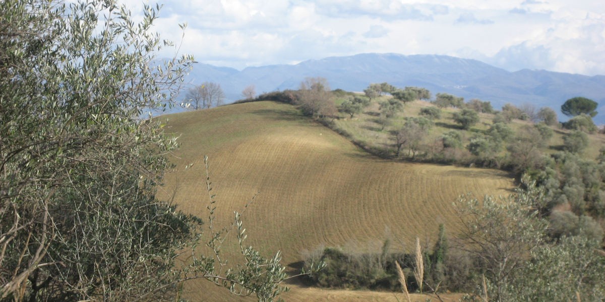 04campo_arato_1200
