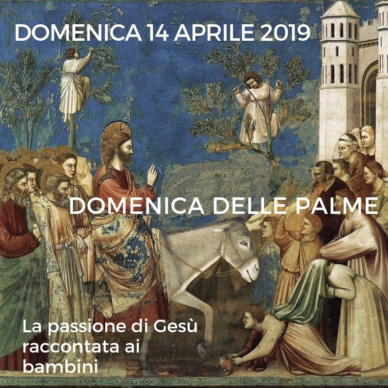 19 ospitalita palme