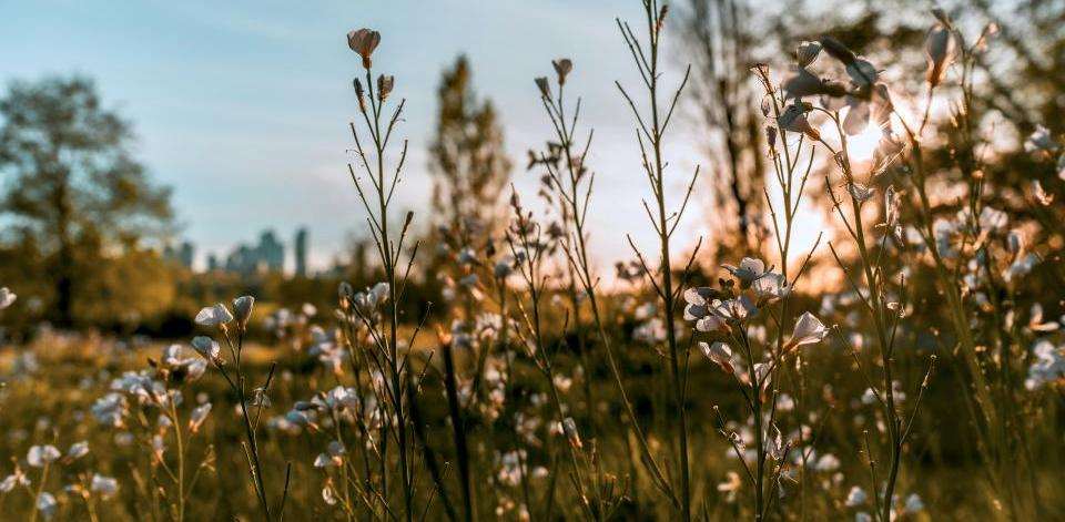 Foto di Dania Shaeeb su Unsplash