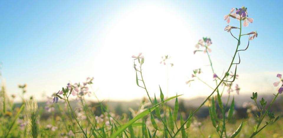 Foto di Spencer Demera su Unsplash