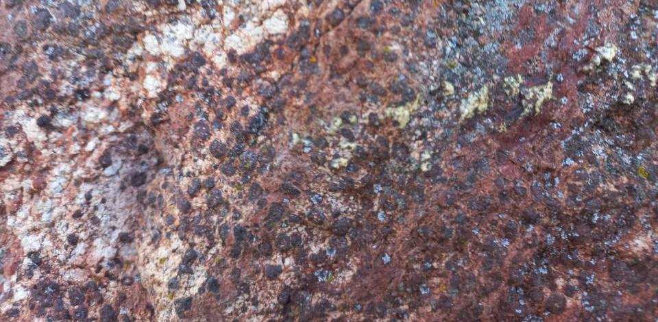 Dettaglio della parete esterna della chiesa di San Secondo, Magnano