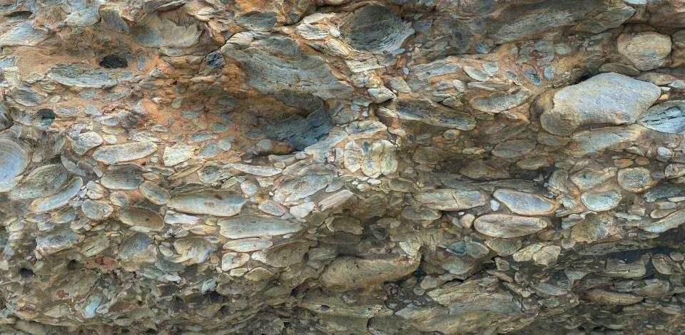 Foto di Cathy Poland su Unsplash