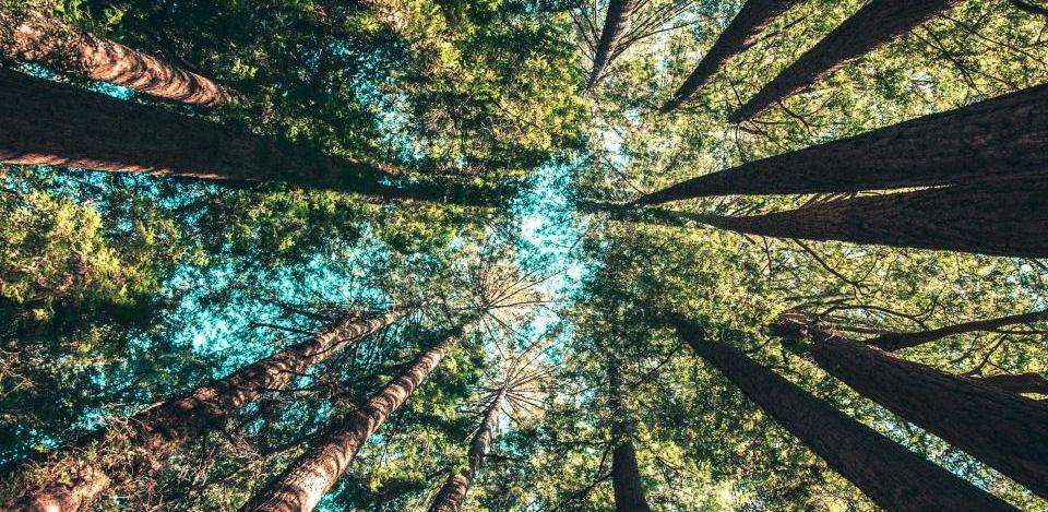 Foto di Casey Horner su Unsplash