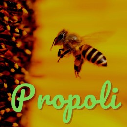 Propoli - Composto spray