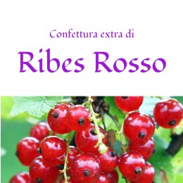 Confettura extra di Ribes rosso