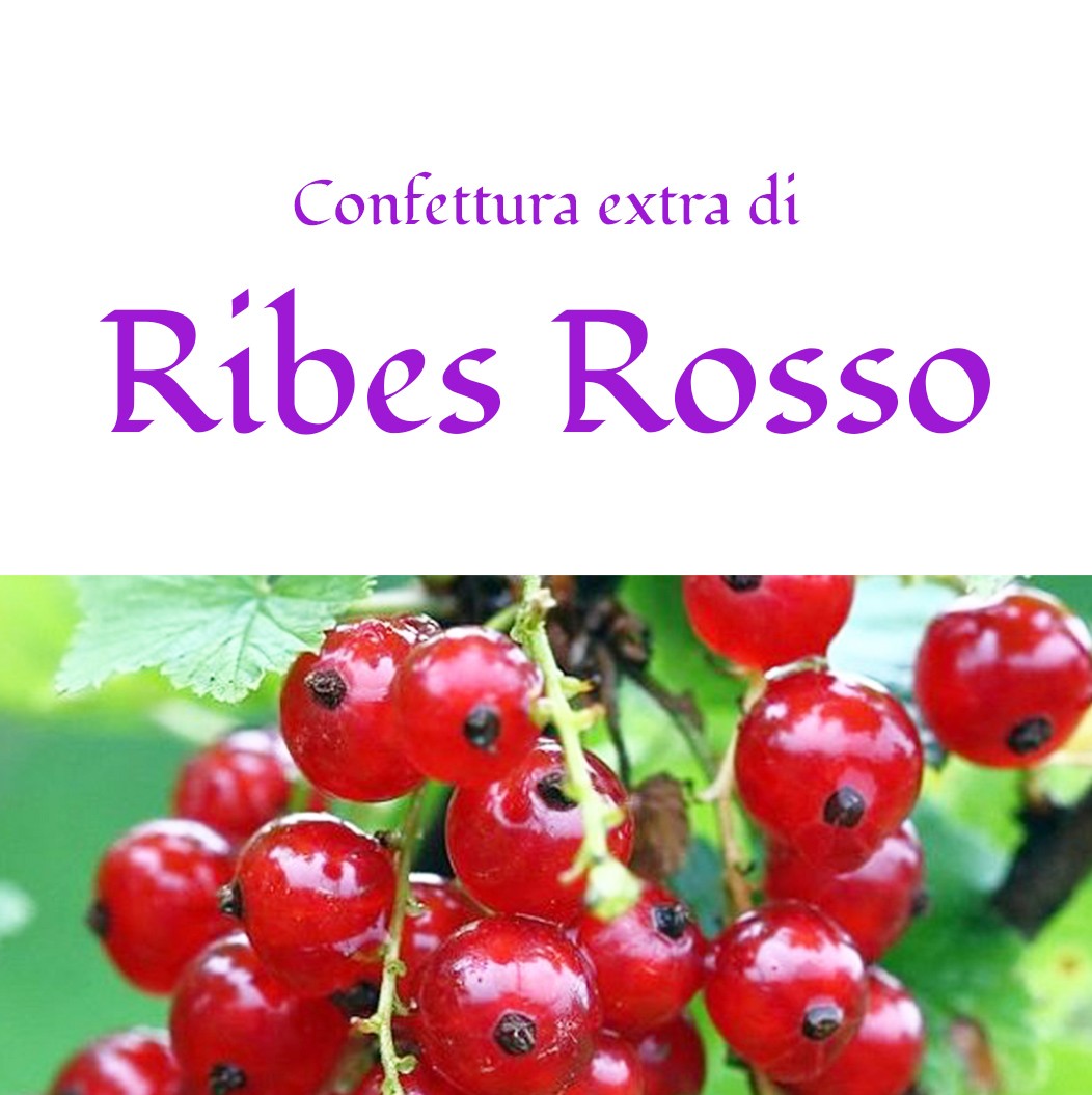 Confettura extra di Ribes rosso